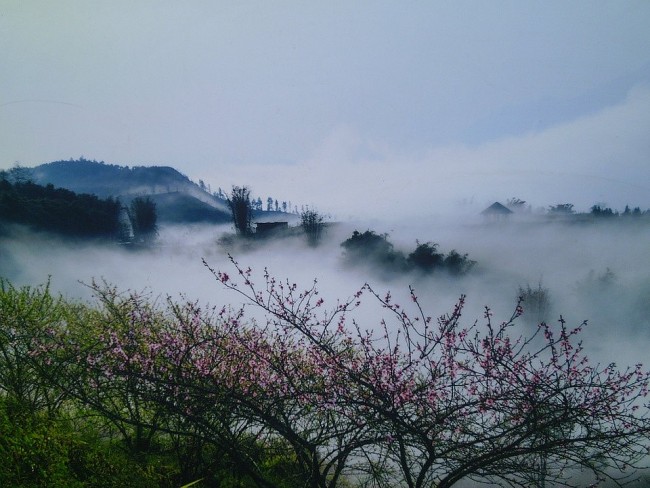 4 Ideal Destinations in Vietnam for Travelers Post Covid-19