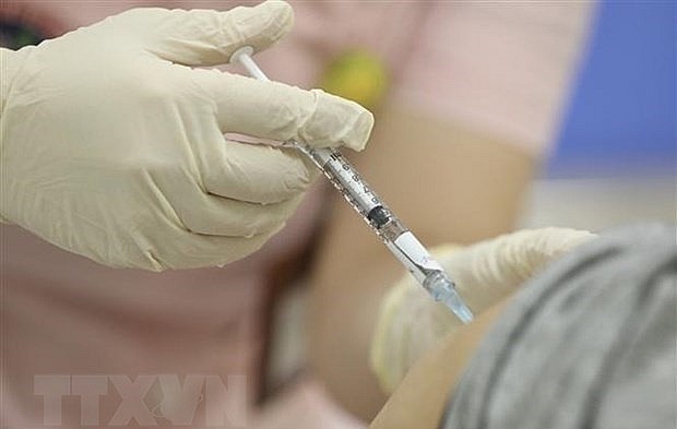The second phase, to last until September 20, is held in Vu Thu district, the northern province of Thai Binh. Photo: VNA