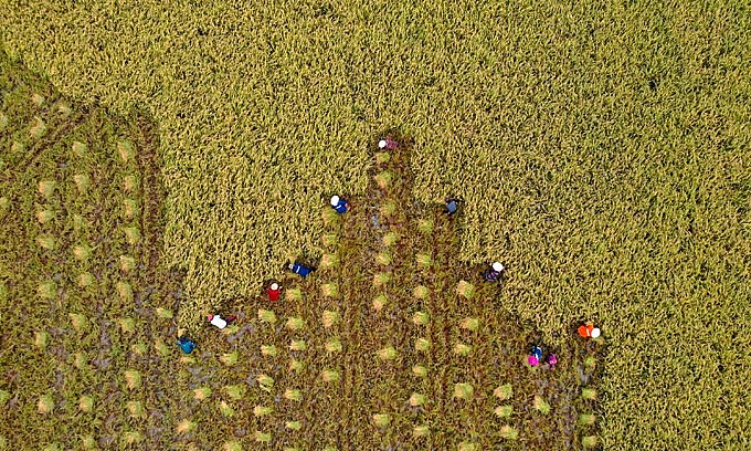 Vietnam's Post-Pandemic Economic Recovery Plan