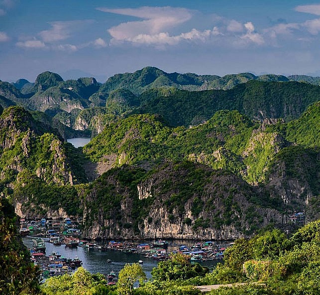 Cat Ba Nominated as World Natural Heritage Site
