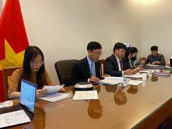 Vietnamese and Russian Businesses Promote Cooperation, Investment