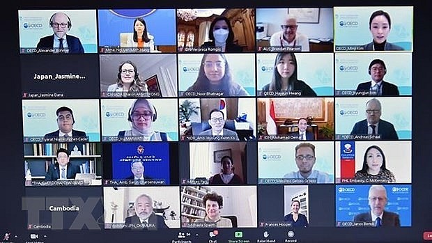 At the 8th meeting of the Steering Group of the OECD Southeast Asia Regional Program. Photo: VNA