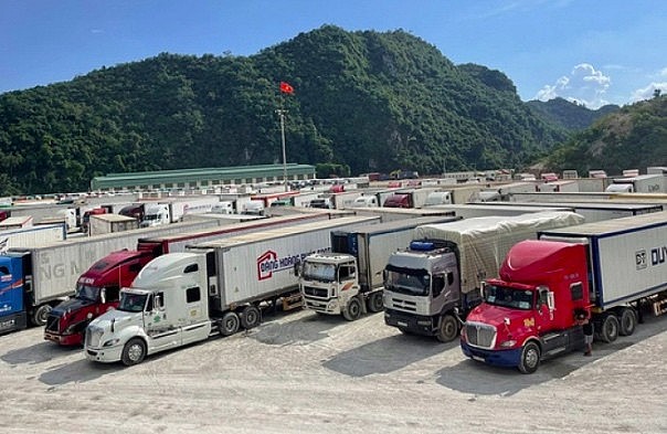 Chinese Embassy Clarifies Information on Suspension of Agricultural Imports