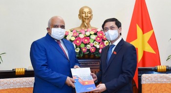 Vietnam's Diplomacy Enhances International Standing
