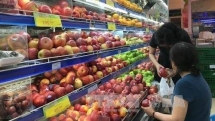fruit exporters from all over eye vietnamese market