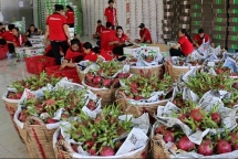 vietnams garment exports down 35 during jan feb