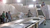 vietnams garment exports down 35 during jan feb