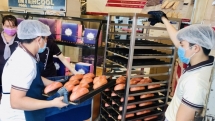 vietnams farm products observe the change during covid 19 outbreak
