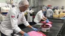 pope tests negative for covid 19 italy report