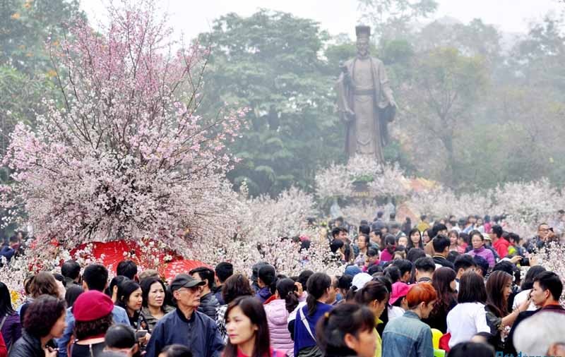 japan cherry blossom festival hanoi 2020 cancelled