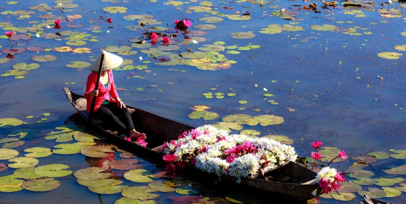6 reasons why vietnam among best countries for expats