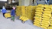 vietnamese food processing firms raise production take actions to prevent covid 19