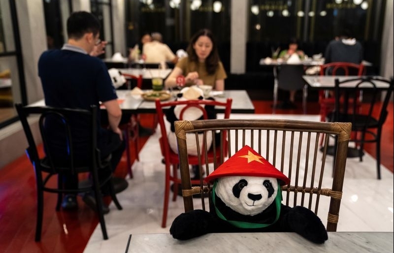 panda dolls cheer up thai diners amid social distancing