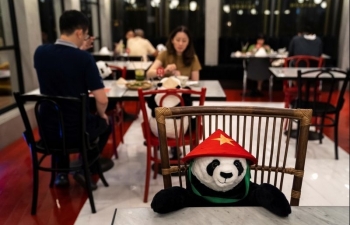 vietnamese football is the worlds earliest returning to normalcy with spectators after covid 19