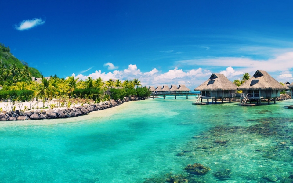 vietnam tourism is ready to recover after covid 19 outbreak view from national expert