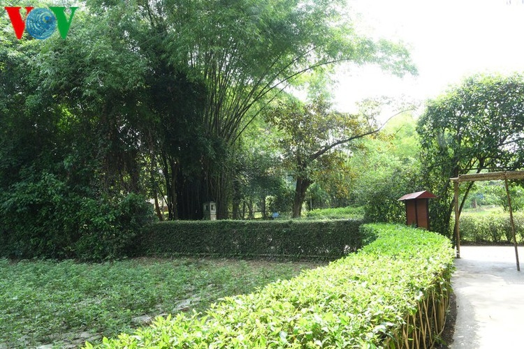 a look at president ho chi minhs house throughout his childhood