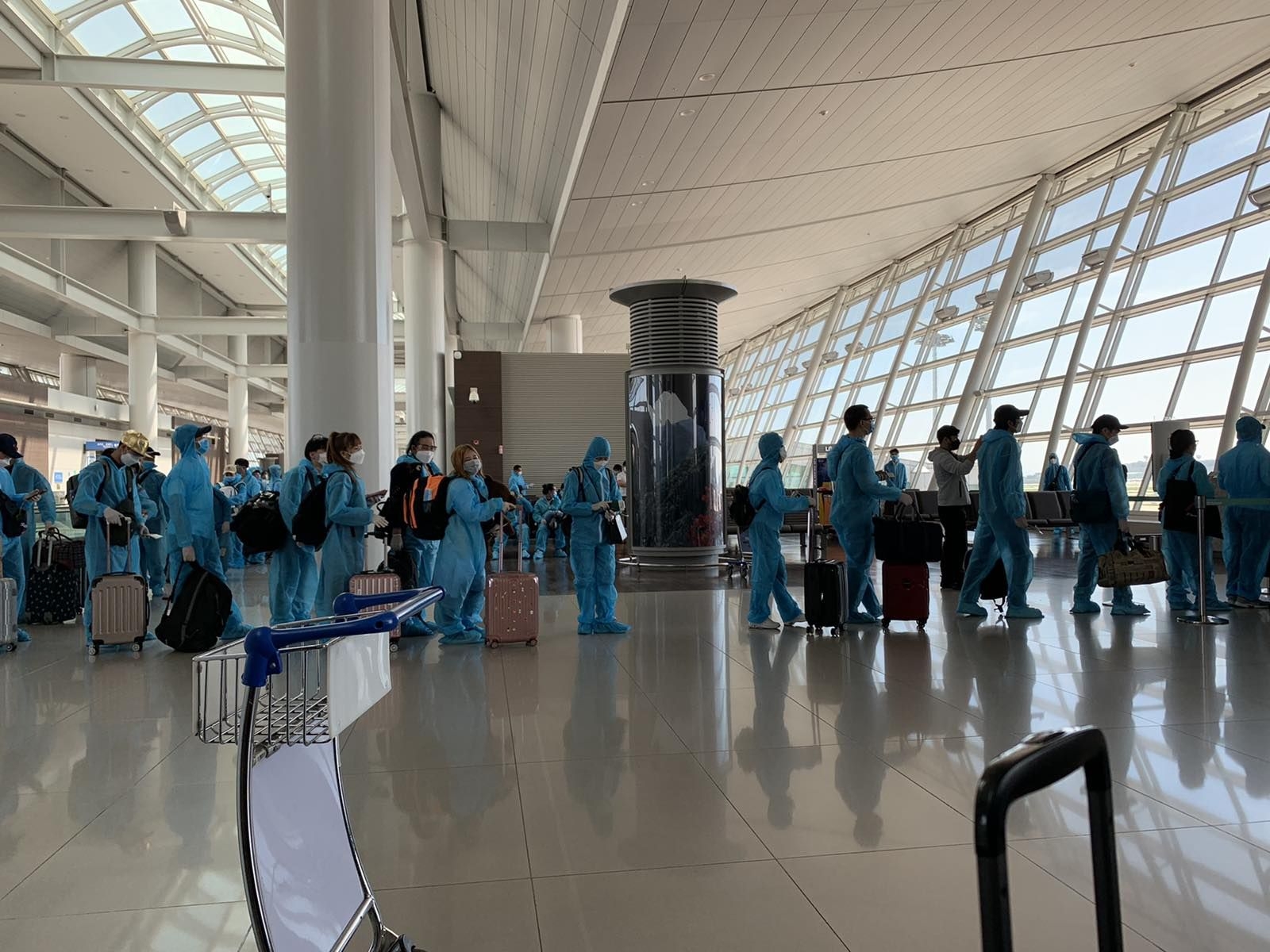 340 vietnamese citizens repatriated from republic of korea