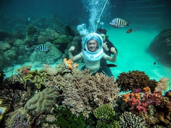 scuba diving must try experience in phu quoc island