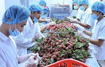 vietnams agricultural exports skyrocket
