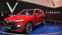 vietnamese national brand has incresed 8 levels