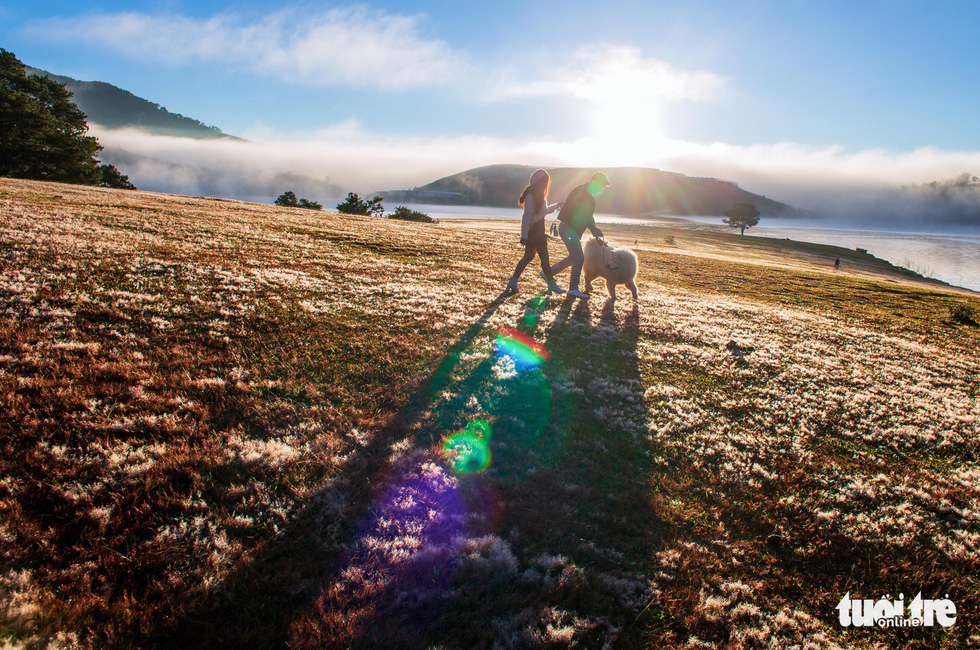 festival highlights beautiful pink grass hills in vietnams central highlands