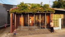 a rich vegetable garden grows atop a unique home in vietnam