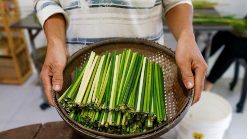 events in this june promote single use plastic reduction