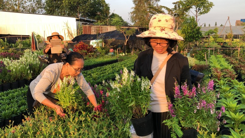 the flower village you should visit in vietnams mekong delta