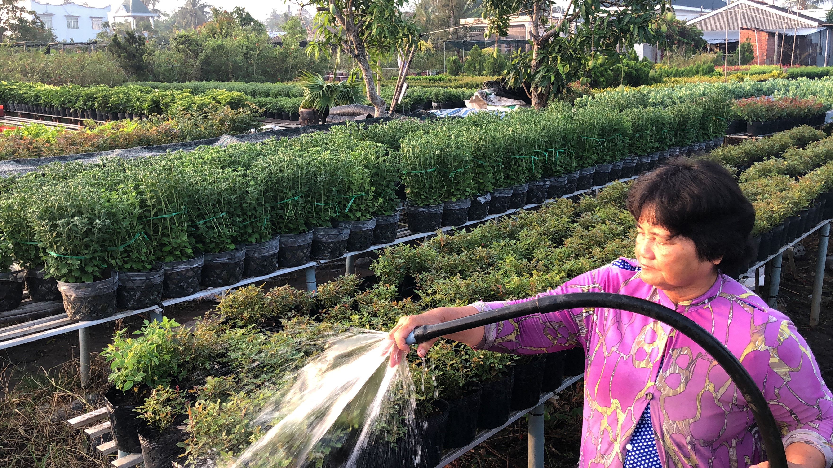 the flower village you should visit in vietnams mekong delta