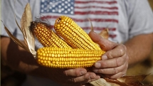 president trump tariff threats vietnam buying 3 billion in us farm goods