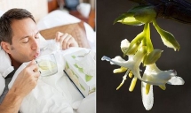dont bank on summer killing coronavirus off studies say