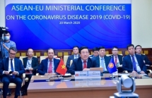 mobilising overall strength of asean community to curbing spread of covid 19