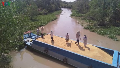 Temporary suspension of rice exports given thumbs-up