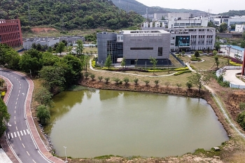 Wuhan lab boss denies coronavirus link, says virus 'cannot be man-made'