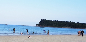vietnam initiates new program to promote domestic tourism