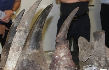 vietnam import procedures for wild animals suspended