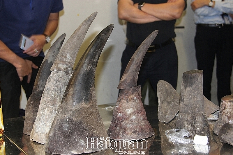 import procedures for wild animals suspended