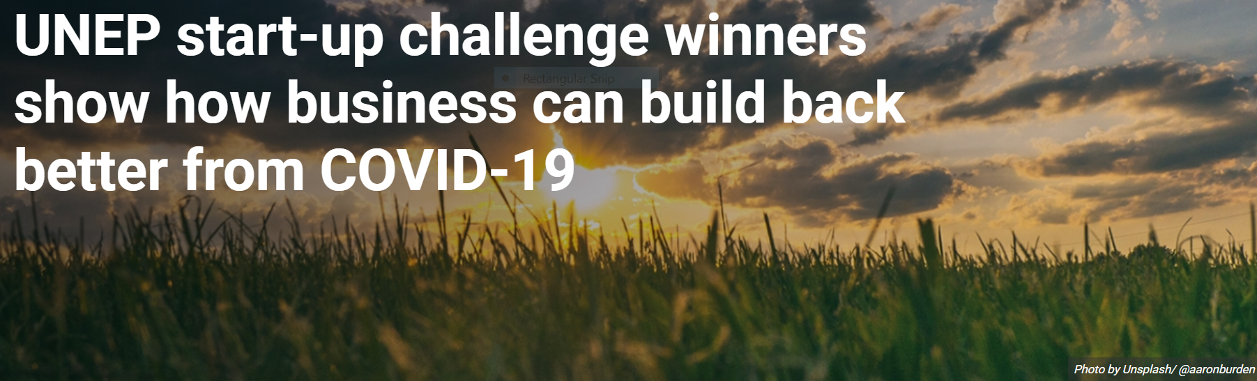 two vietnamese start up winners for 2020 asia pacific low carbon lifestyles challenge