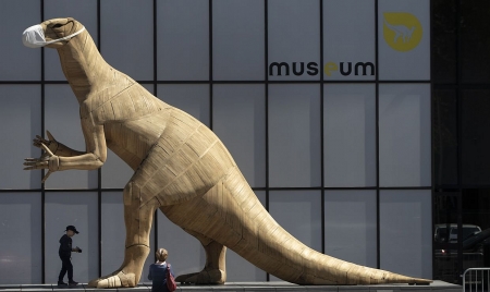 Museums worldwide at the risk of being shut down by the pandemic, warned the UN