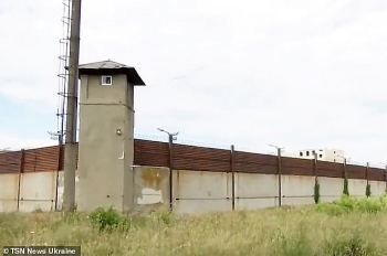 51 year old mom digs tunnel to free son from prison