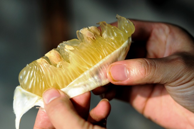 Stay Fresh: Water-rich Winter Fruits and Vegetables