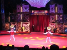 Vietnamese acrobatic troupe shines again on international stage
