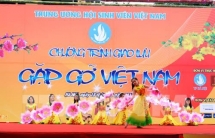 The first New Year exchange for foreign students in Vietnam held in Hanoi