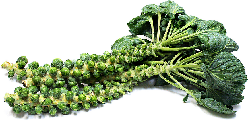 12 foods with more vitamin C than oranges