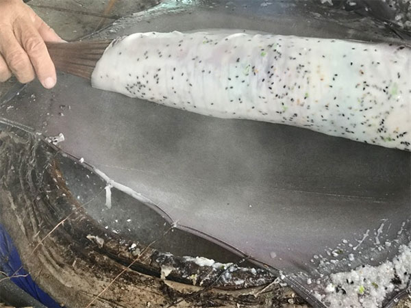 Rice paper village keeps ancient craft alive