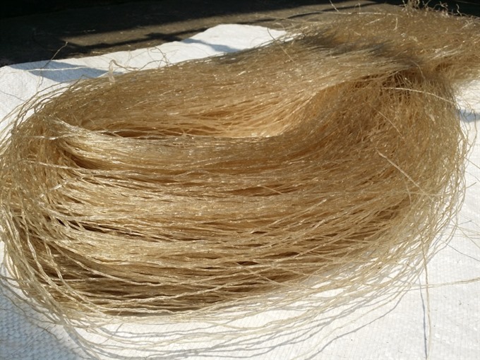 Foodwise: Cellophane noodles are great for New Year