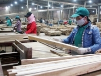 country earns nearly usd500 million from wood exports in january