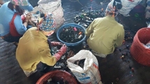 hanoi begins facing cross contamination chairman of hanoi warns people to limit unnecessary travel until 31 march