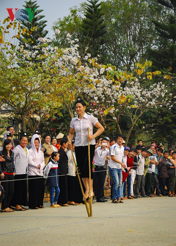 Ban flower - the hidden charm of northwest region
