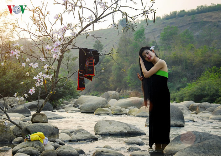 Ban flower - the hidden charm of northwest region